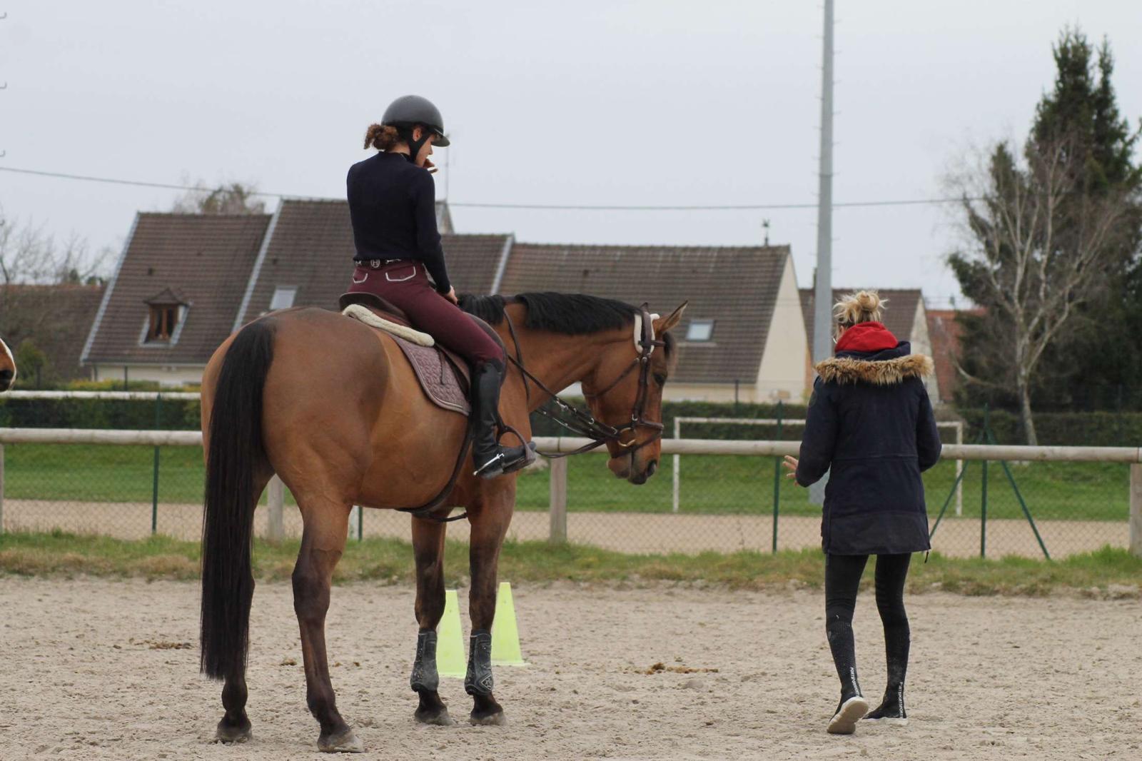 Le couple cheval / cavalier