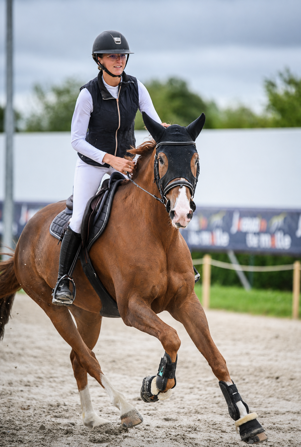 Travail de Chloé avec un cheval